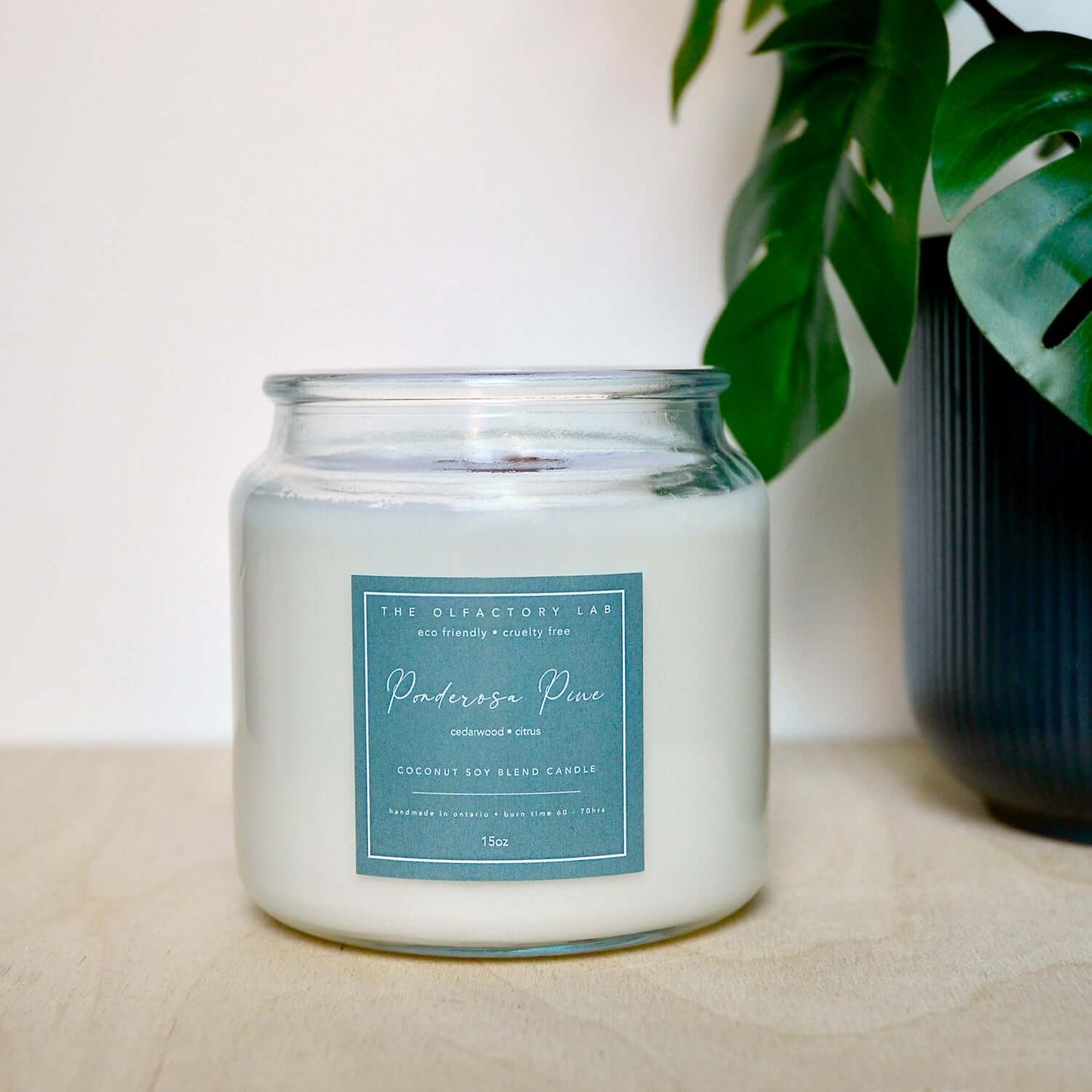 15oz white candle. Candle label is square shaped in a forest green colour with white cursive font reading Ponderosa Pine. The candle is on a wood table with greenery in the background.