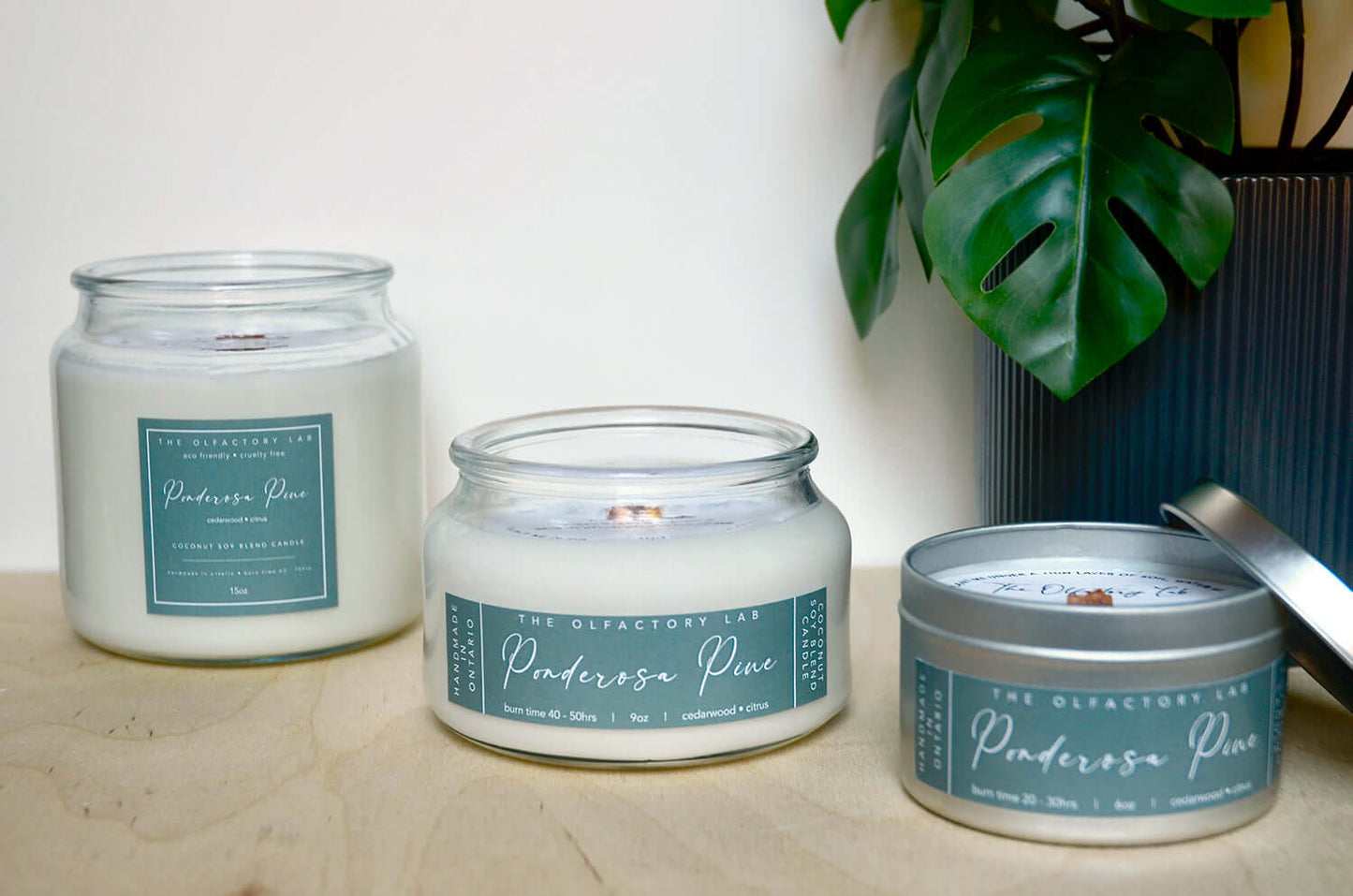 A trio of 15oz, 9oz and 6oz Ponderosa Pine Candles. The candles are displayed from biggest to smallest on a wood table with greenery in the background.