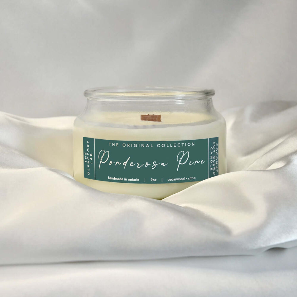 
                  
                    9oz white candle. Candle has a rectangle shaped label in a forest green with white cursive font reading Ponderosa Pine. The candle is sitting on a white silk pillowcase.
                  
                